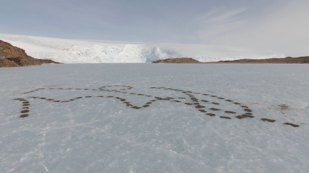 Antarctique, les rythmes de la vie