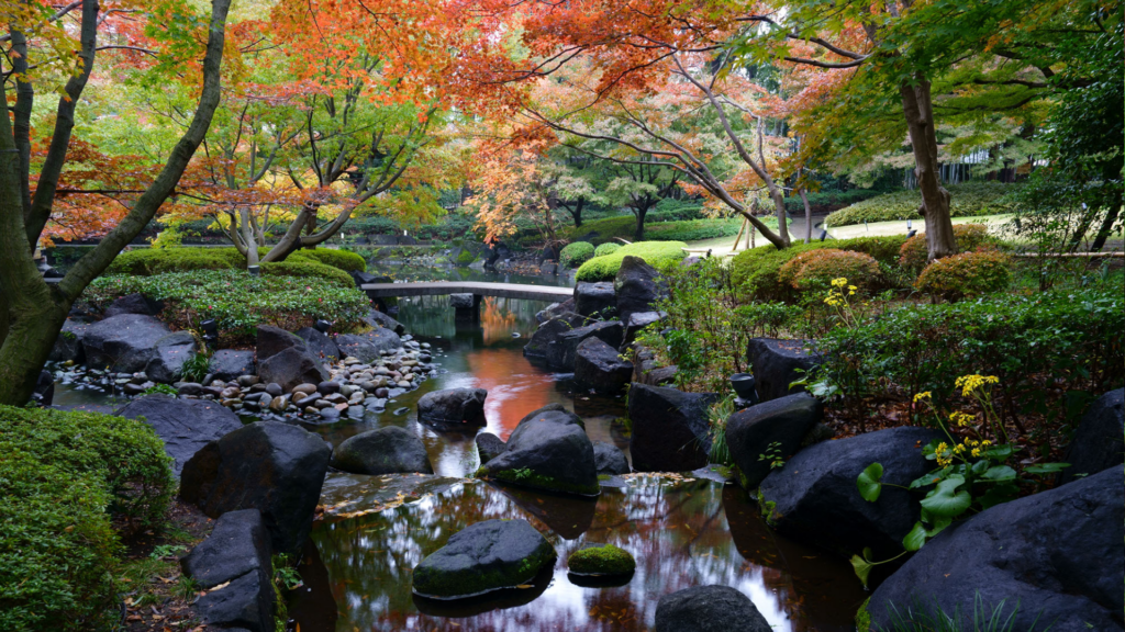 Comprendre l'art du jardin japonais