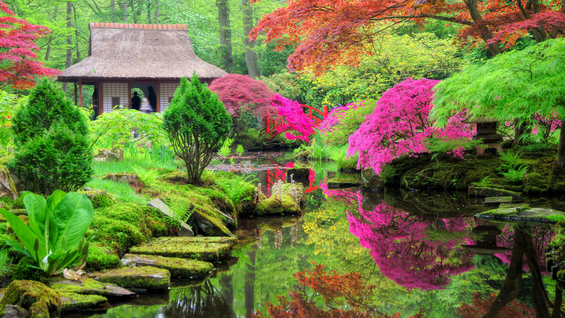 Comprendre l'art du jardin japonais