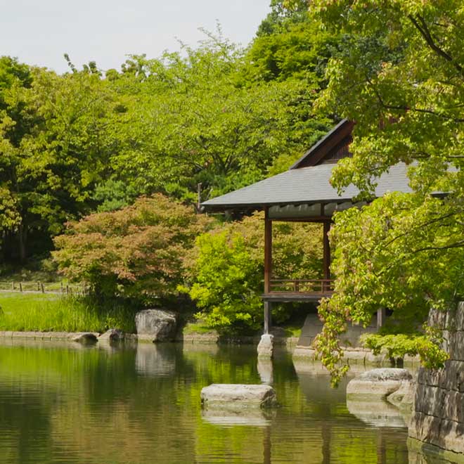 Photographie d'un jardin japonais