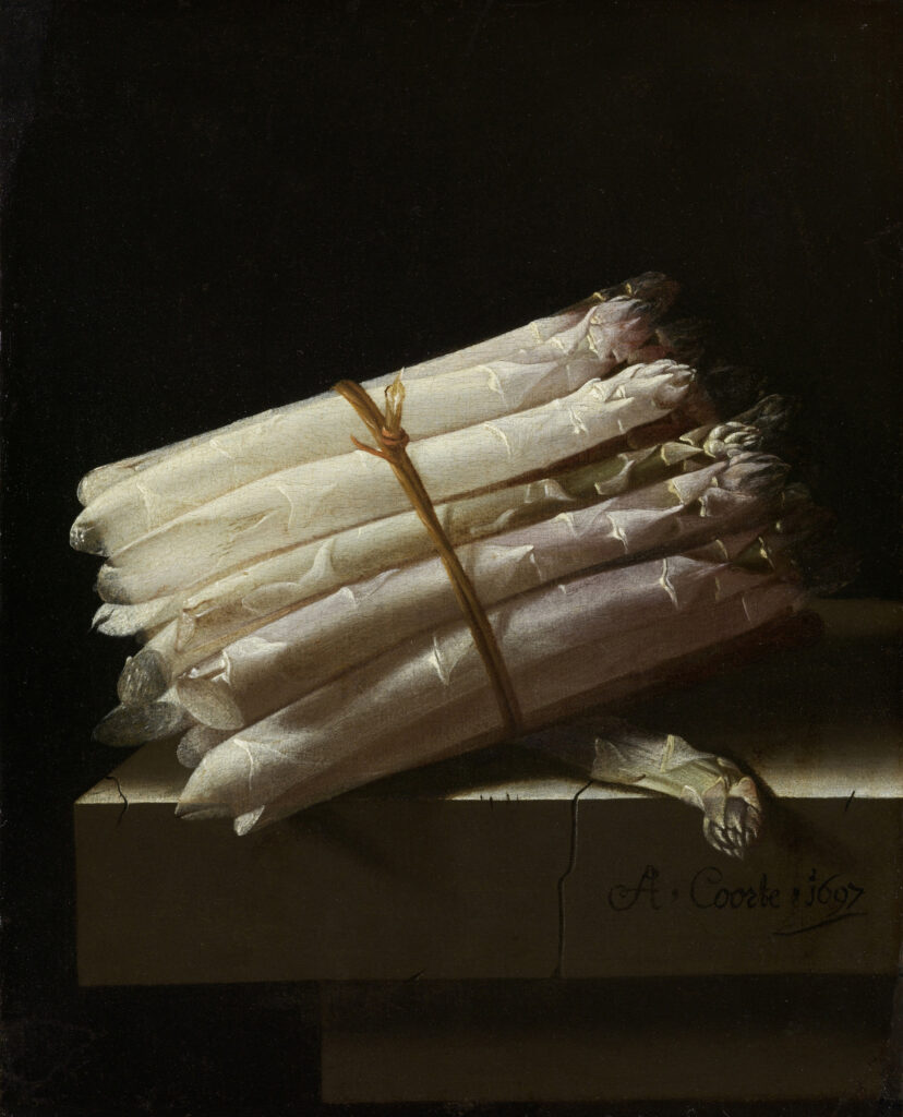 Coorte : Nature morte aux asperges