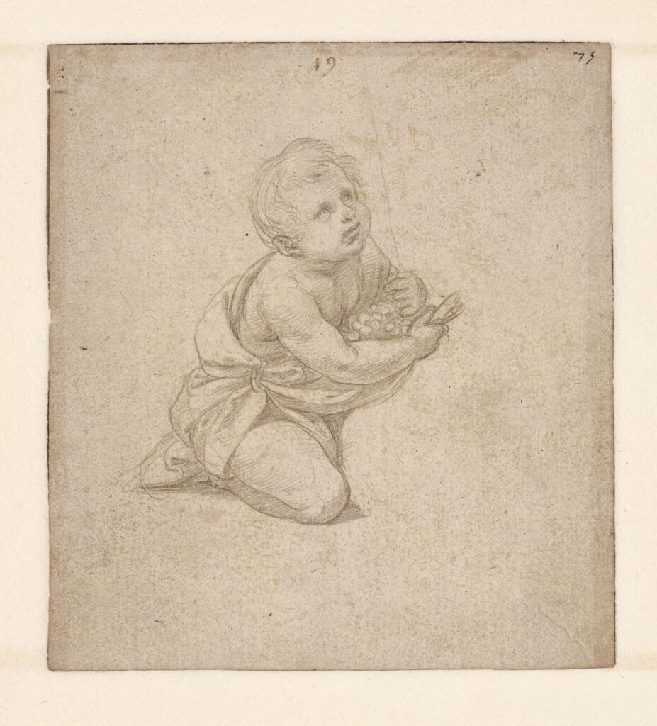 Raffaello Sanzio, dit Raphaël (1483-1520), Étude pour le petit saint Jean-Baptiste agenouillé, vers 1509-1511. 